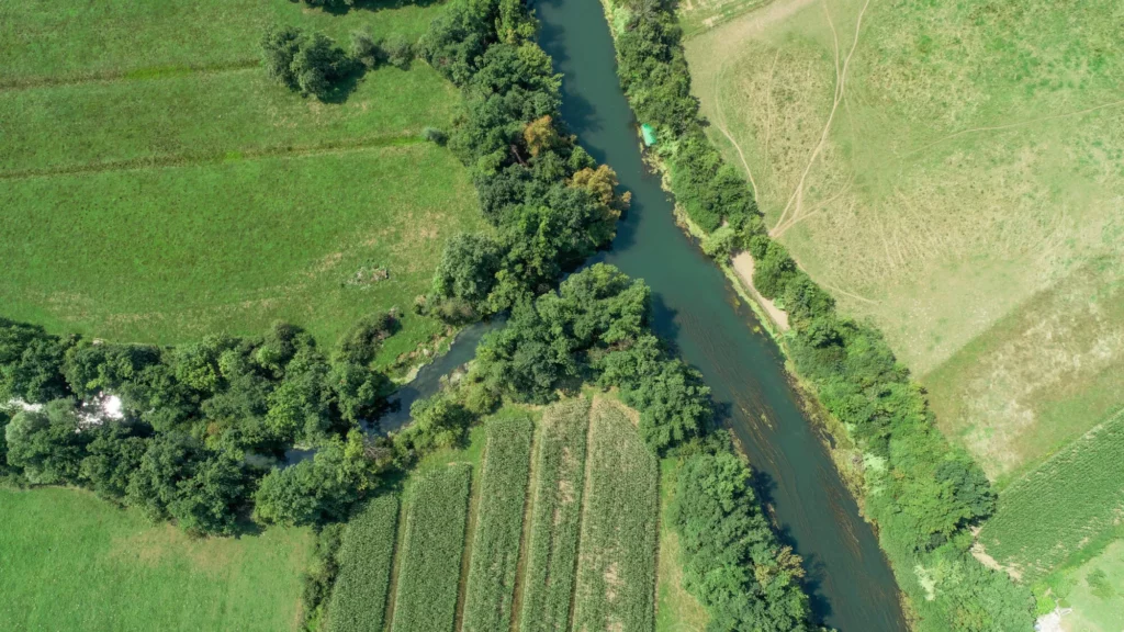 Ljubljanica on joki Keski-Sloveniassa. Ljubljanica virtaa Vrhnikan kaupungin eteläpuolella ja laskee Sava-jokeen noin 10 kilometriä Ljubljanasta alavirtaan.