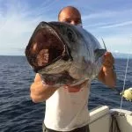 Small tuna in the hands of our captain on his boat on Adriatic sea