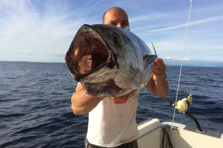 Petit thon dans les mains de notre capitaine sur son bateau en mer Adriatique